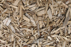 biomass boilers Ryhope